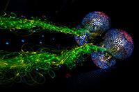 Alpy Austriackie. - foto: wnieznane.pl