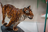 Alpy Austriackie. - foto: wnieznane.pl