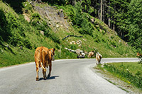 Alpy Austriackie. - foto: wnieznane.pl