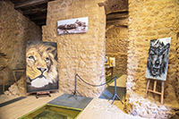 Kalabria. Zamek aragoński w miejscowości Le Castella. - foto: wnieznane.pl