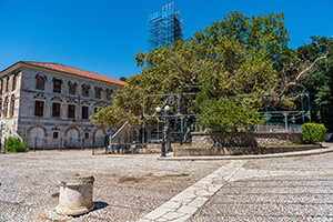 Kos. Platan Hipokratesa. - foto: wnieznane.pl