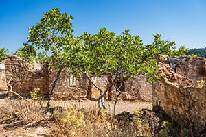 Kos. Opuszczona wioska Palio Pyli. - foto: wnieznane.pl